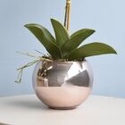 Arranjo Orquídea Artificial Rosa No Vaso Rose Gold M | Formos